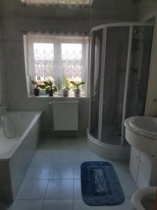 Koupelna v ubytování Apartman pod Svatou Horou