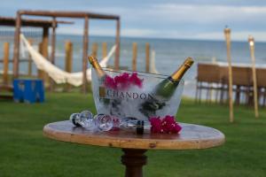 Tree Bies Resort - Oficial飲料