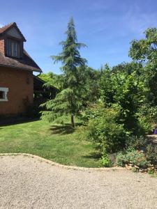 La Suzannerie في Vivoin: ساحة بها شجرة و منزل