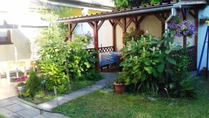 a garden with a pergola and some plants at Penzion Rose in Štúrovo