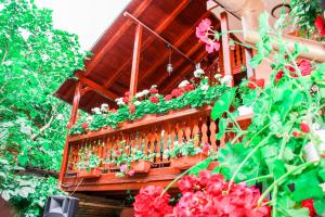 Afbeelding uit fotogalerij van Family Hotel Markov's House in Bratsigovo