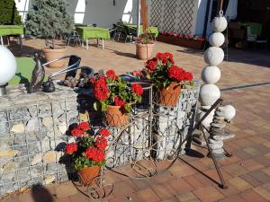 Zahrada ubytování Pension Sonnenhof