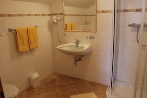 ein Bad mit einem Waschbecken und einer Dusche in der Unterkunft Unterhagmooshof in Radstadt