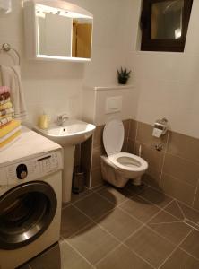 a bathroom with a toilet and a sink and a washing machine at River House Buna in Mostar
