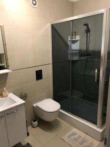 a bathroom with a shower and a toilet and a sink at Apartment Marbella in Dubrovnik
