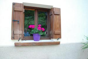 Fotografie z fotogalerie ubytování Albergue Casa Txakainlo v destinaci Lesaka