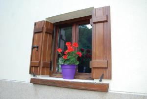 Fotografie z fotogalerie ubytování Albergue Casa Txakainlo v destinaci Lesaka