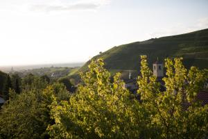 uma vista para uma colina com árvores no primeiro plano em Hotel Heiligenstein em Baden-Baden