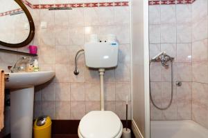 łazienka z toaletą, umywalką i prysznicem w obiekcie apartman SONJA w mieście Risika