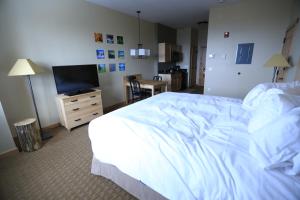 
a bedroom with a bed and a television at Burke Mountain Hotel and Conference Center in East Burke
