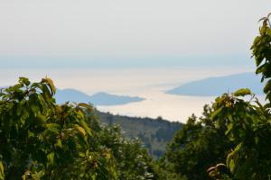 Fotografie z fotogalerie ubytování Holiday House Kate v destinaci Stolac
