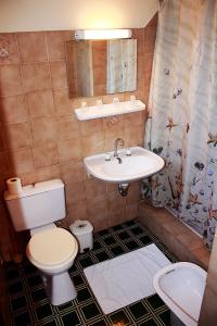 Un baño de Hôtel - Pub Le Petit Bosquet