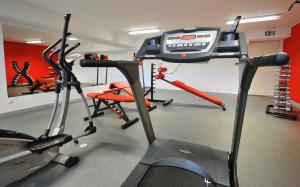 Fitness centrum a/nebo fitness zařízení v ubytování Grey & Green Apartments