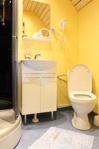 a bathroom with a toilet and a sink at Hommik House in Otepää +52 photos