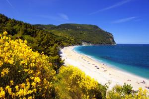 Gallery image of Camping Village Internazionale in Sirolo