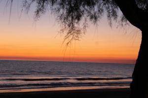 a sunset over the ocean with a tree at Hotel Amyclae in Sperlonga