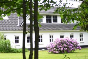 a white house with a bush of pink flowers at Nebelgaard Holiday House in Vorbasse