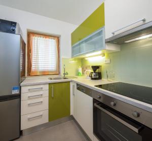 Kuchyň nebo kuchyňský kout v ubytování Apartments Judita