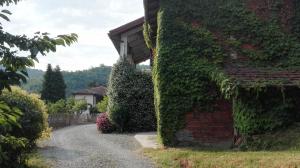 a house with ivy growing on the side of it at Casa Statiella in Acqui Terme