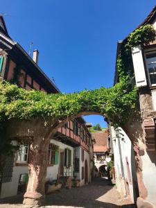 an archway in a town with ivy on the buildings at Les Authentics - La Maison d'Amélie in Riquewihr