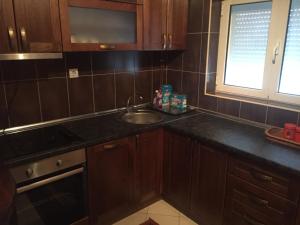 Kuchyň nebo kuchyňský kout v ubytování Cabarkapa Guesthouse
