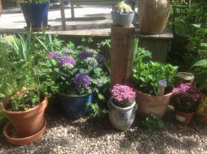 un grupo de plantas y flores en macetas en Au Fond du Jardin Maison d'hôtes en Saint-Saëns