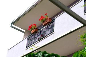 Balkón nebo terasa v ubytování Apartment Kraljević