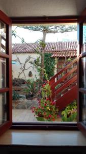 A garden outside Finca Patio Canario