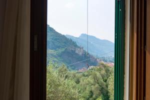 Príroda v okolí of the country house