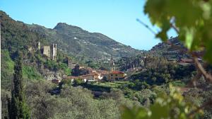 Príroda v okolí of the country house