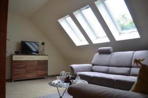 a living room with a couch and a tv and skylights at Wohnung am Weserradweg in Deesberg