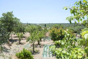 Príroda v okolí of the country house