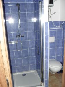 La salle de bains est pourvue de carrelage bleu, de toilettes et d'une douche. dans l'établissement Penzion Kameňák, à Kamenný Újezd