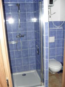 a blue tiled bathroom with a toilet and a shower at Penzion Kameňák in Kamenný Újezd