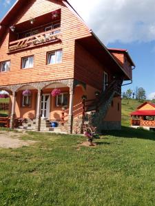 Gheţari的住宿－冰川旅館，绿色田野上的大型木屋