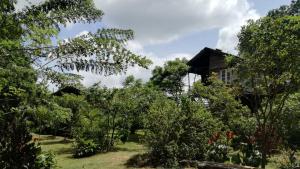 Vườn quanh Sigiri Forest View