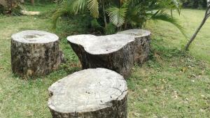 Ảnh trong thư viện ảnh của Sigiri Forest View ở Sigiriya