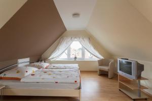 sypialnia z łóżkiem, telewizorem i oknem w obiekcie Haus im Naturpark am Steinhuder Meer w mieście Steinhude