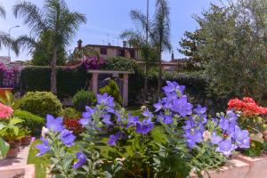 a garden with purple flowers in a yard at Villa nevada in Ladispoli