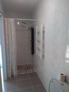 a bathroom with a shower with a toilet and a window at loft At Besset in Besset