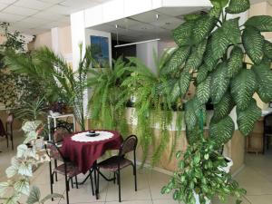 uma mesa e cadeiras numa sala com plantas em Fanti Hotel em Vidin