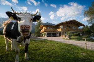 Tiere in der Ferienwohnung oder in der Nähe