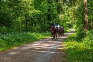 Fotografie z fotogalerie ubytování "Natur pur" Refugium für Mensch und Tier v destinaci Horgenzell