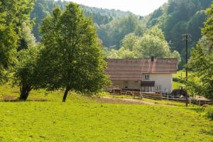 Fotografie z fotogalerie ubytování "Natur pur" Refugium für Mensch und Tier v destinaci Horgenzell
