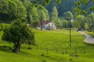 Fotografie z fotogalerie ubytování "Natur pur" Refugium für Mensch und Tier v destinaci Horgenzell