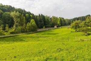 Fotografie z fotogalerie ubytování "Natur pur" Refugium für Mensch und Tier v destinaci Horgenzell