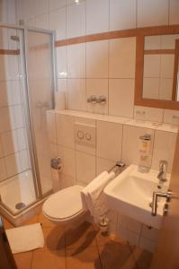 a bathroom with a toilet and a sink and a shower at Hotel Stadt Emmerich in Emmerich
