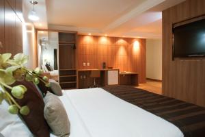 um quarto de hotel com uma cama e uma televisão de ecrã plano em Planalto Bittar Hotel e Eventos em Brasília