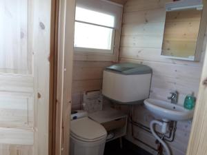a small bathroom with a toilet and a sink at Ristijärven Pirtti Cottage Village in Ristijärvi