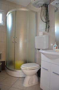a bathroom with a shower and a toilet and a sink at Apartment Kolundzic in Novi Vinodolski